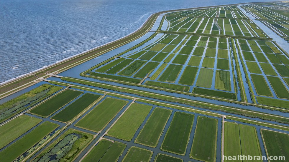 De stormvloedkering bij Rotterdam, een belangrijk onderdeel van de Nederlandse waterverdediging.